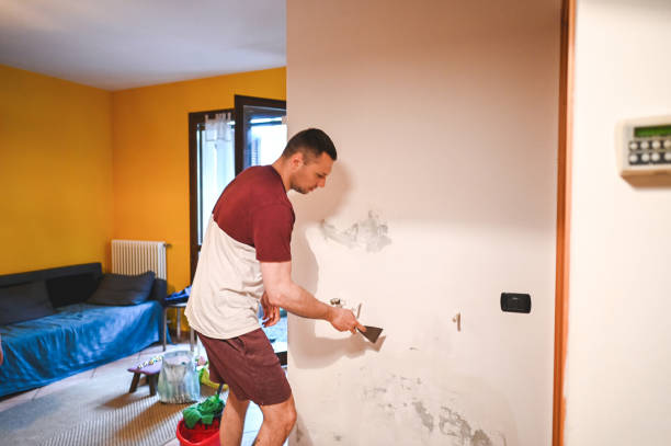 Best Mold Remediation Services  in North Bethesda, MD